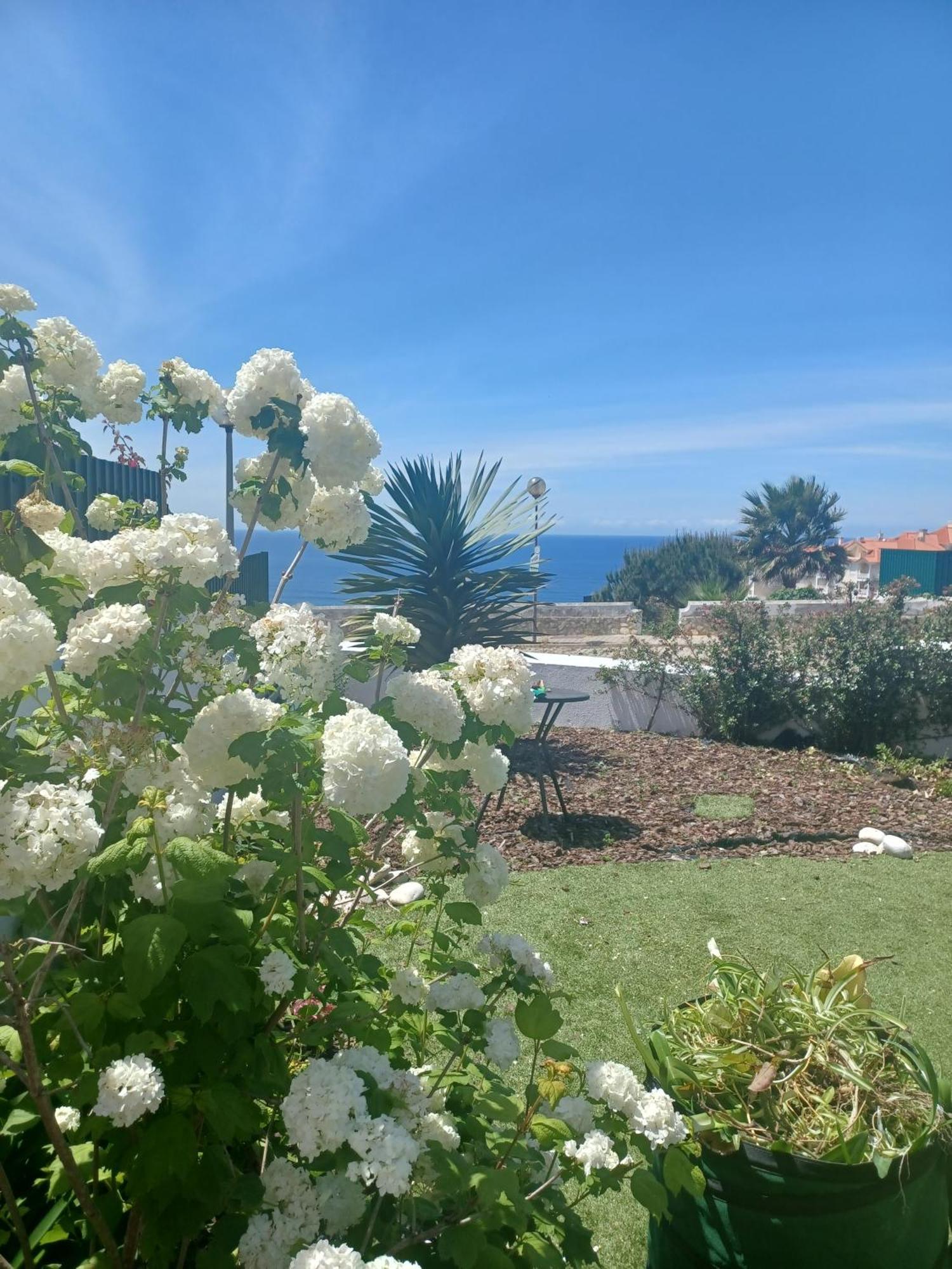 Ericeira Su Villa'S Buitenkant foto