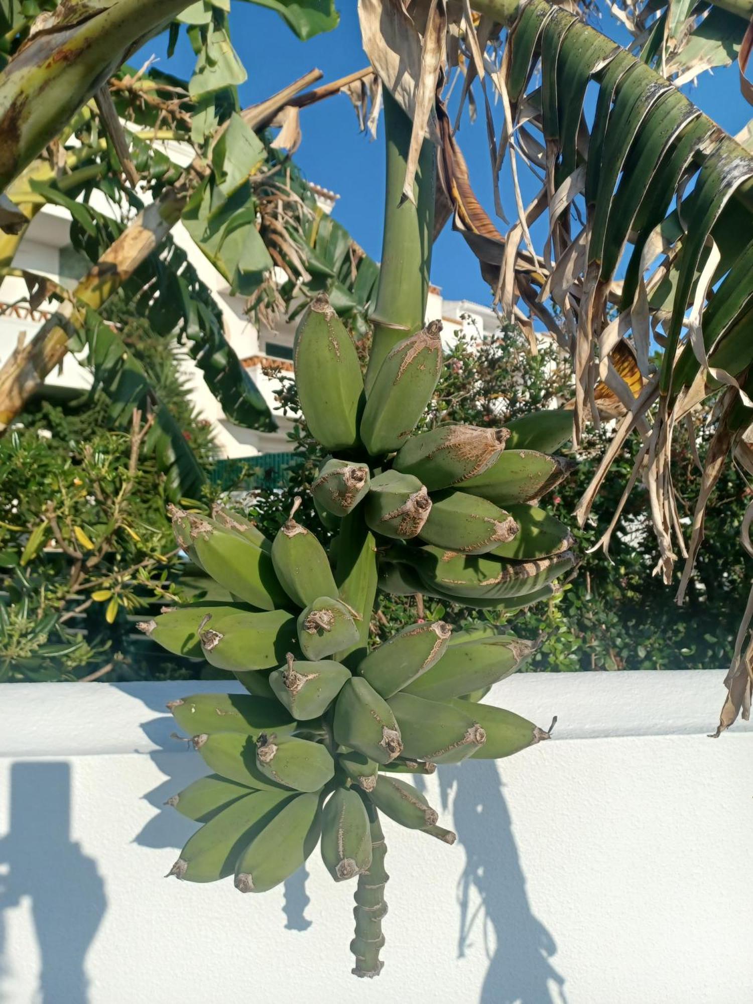 Ericeira Su Villa'S Buitenkant foto