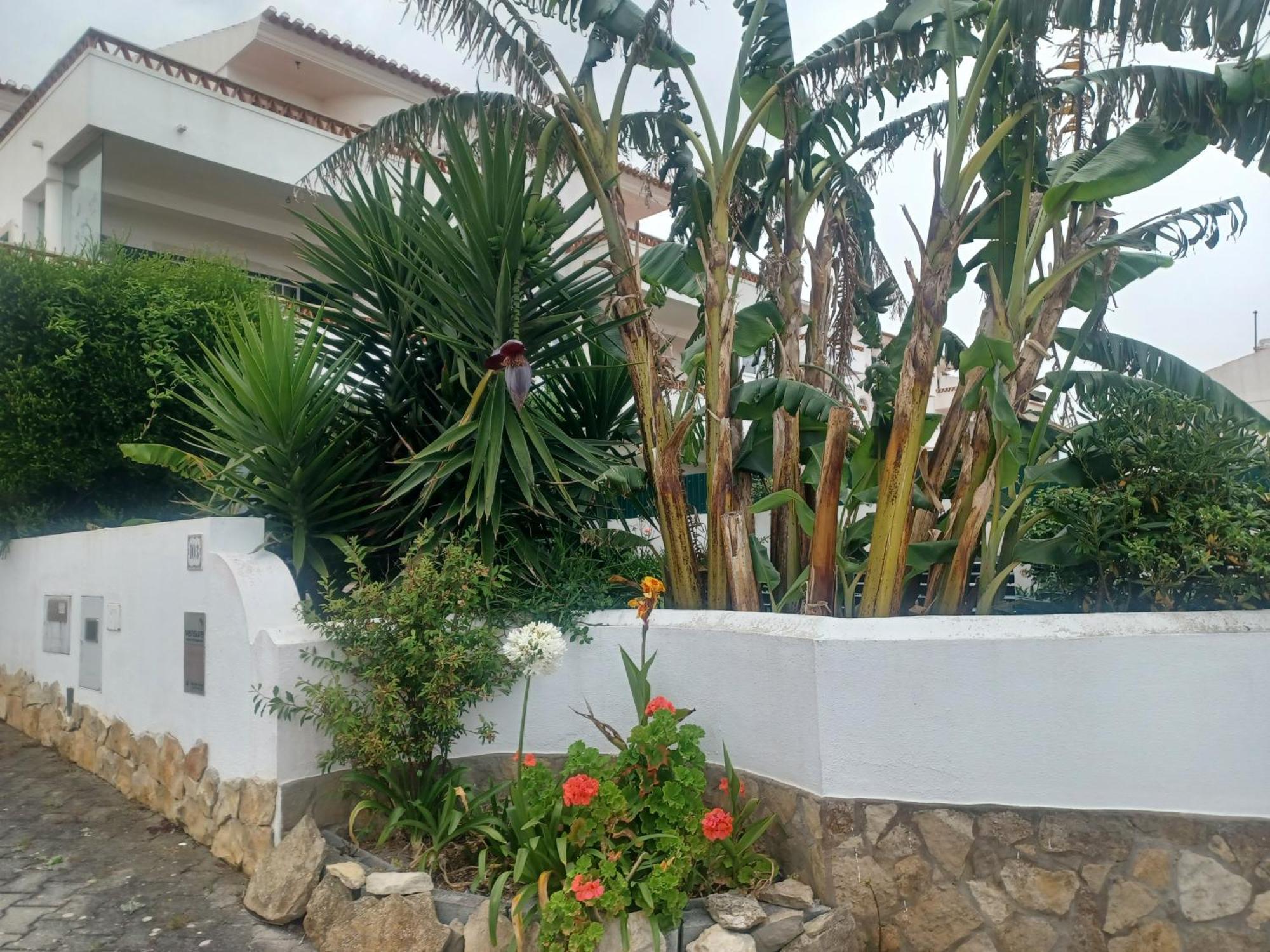 Ericeira Su Villa'S Buitenkant foto